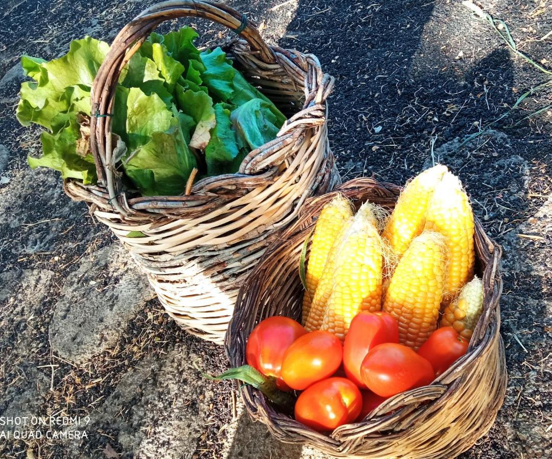 Etna, Salvia E Rosmarino Βίλα Maletto Εξωτερικό φωτογραφία