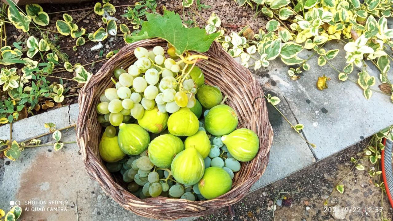 Etna, Salvia E Rosmarino Βίλα Maletto Εξωτερικό φωτογραφία