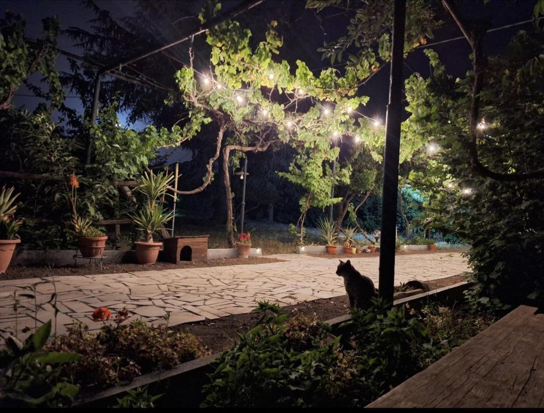 Etna, Salvia E Rosmarino Βίλα Maletto Εξωτερικό φωτογραφία